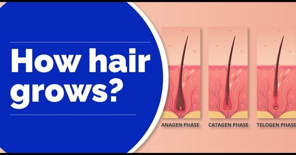 Hair Growth and Health Optimization